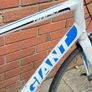 Giant Rapid Image 2