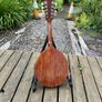 flatiron mandolin Image 7
