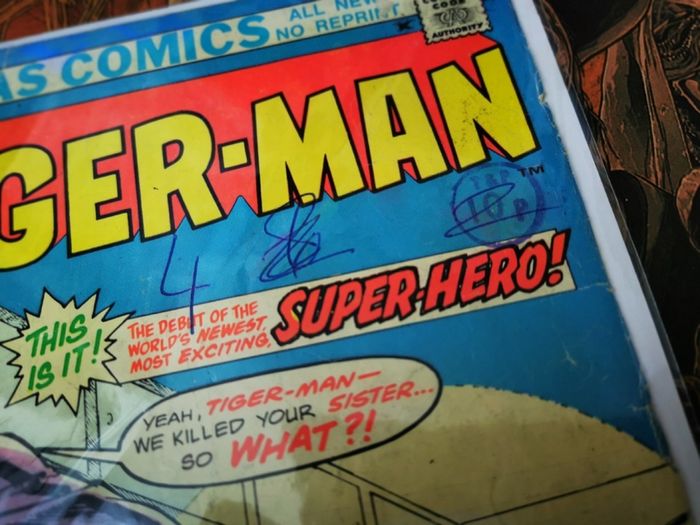Tiger-man ! FIRST ISSUE ! Origin of Tiger-man ! Bronze Age Comic from 1975 ! by Atlas Seaboard !
