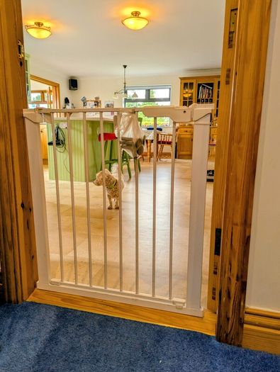 Safety gate (for baby and pet safety)