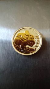 Gold coin koala