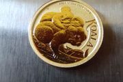 Gold coin koala