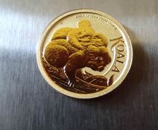 Gold coin koala