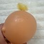The Bellies Pinky Twink Interactive Baby Used Please see pictures Image 9