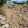 soil Image 4