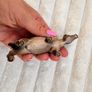Schleich Donkey Burro Jenny Farm Animal Figure 2008 D-73527  approx. 8.5 cm. Used Please see photos Image 9