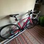 Focus Cayo full carbon bicycle Image 3
