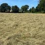 Round Baled Hay Image 2
