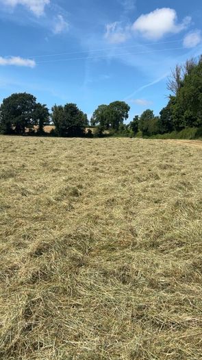 Round Baled Hay