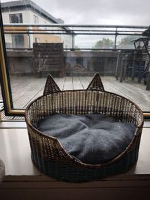 cat bed