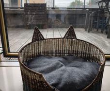 cat bed