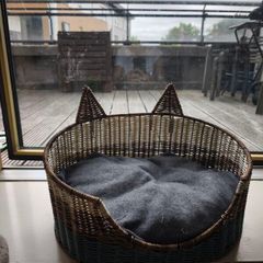 cat bed