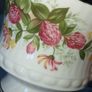 QUEEN'S Fine Bone China Rosina China "Woman and Home" Tea set Image 7