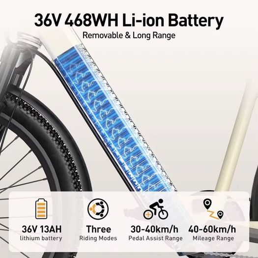 Electric Bicycle