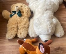 Teddy bundle