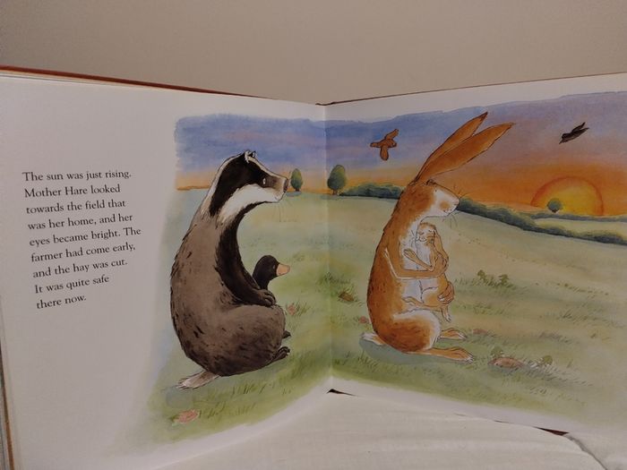 Sleep Tight Little One, Hardback Storybook