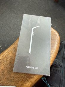 Samsung Galaxy S25
