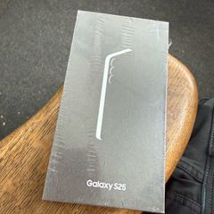 Samsung Galaxy S25