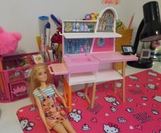 Barbie vet set