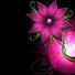 Nons