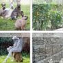 Chicken Wire Mesh Roll, Galvanized Hexagonal Wire Mesh Fencing, Wire Poultry Netting, 1m x 25m, Hole Size: 25mm, Silver (FREE POSTAGE) Image 5