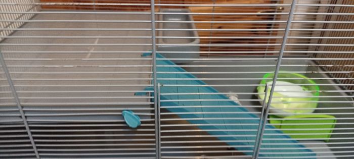 Hamster Cage