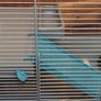 Hamster Cage Image 5