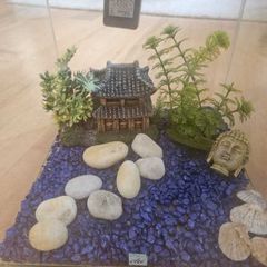Aquarium with Zen Garden