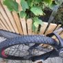 bike Image 3