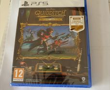 Harry Potter Quidditch PS5