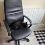 office chair Image 2