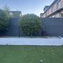 Buxus Lollipop Trees x 4 Image 3