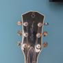 Sire H7 Larry Carlton Image 5
