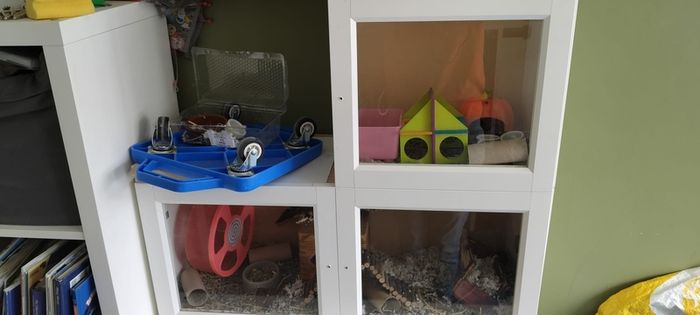 Hamster Enclosure with Accessories