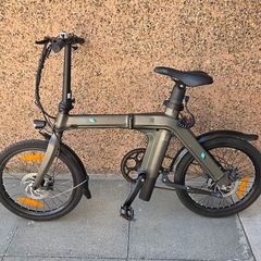 Fiido d21 electric folding bike