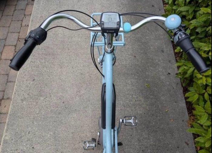 Electra Townie Go! 8i