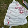 Optimist sails Image 4