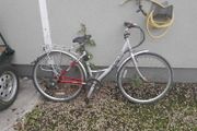 ladies bike