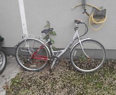 ladies bike