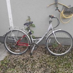 ladies bike