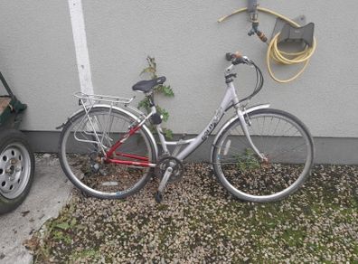 ladies bike