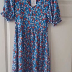 ladies Dress