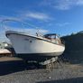 Project Cruisers End of Season sell off. Image 7