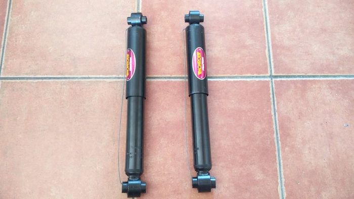 Citroen C2 C3 Peugeot 1007 REAR Shock Absorbers