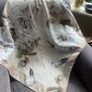 Gustav Ladies Scarf Image 6