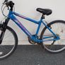 17" Bicycle Image 5