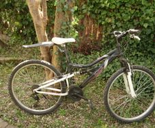 Kids PANDA durable front and rear suspension downhill mountainbike