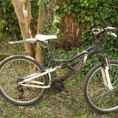 Kids PANDA durable front and rear suspension downhill mountainbike