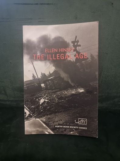 The Illegal Age (Soft cover)