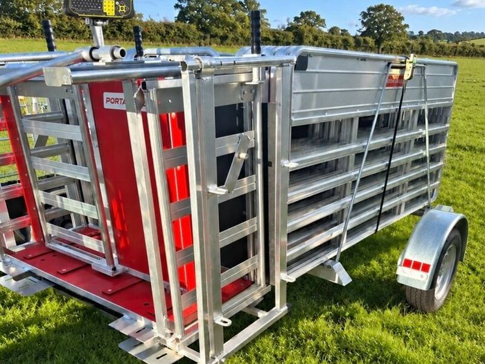 Portayards For Handling Sheep